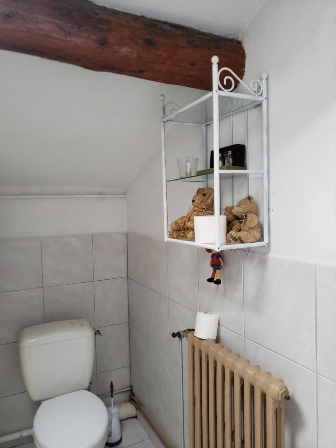 Chambre Dans Une Grande Maison Entre Canal Du Midi Et Centre Ville 贝济耶 外观 照片