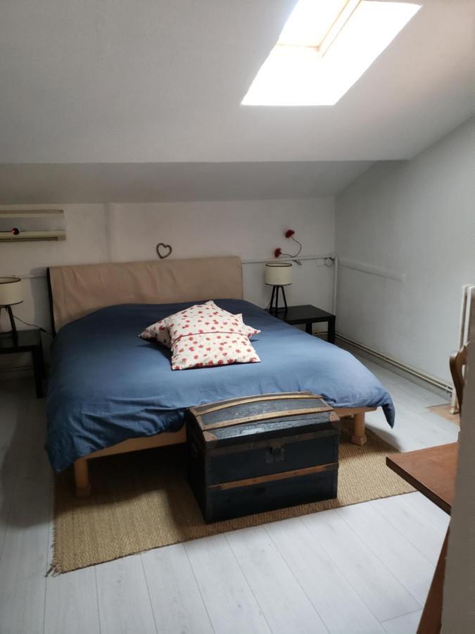 Chambre Dans Une Grande Maison Entre Canal Du Midi Et Centre Ville 贝济耶 外观 照片