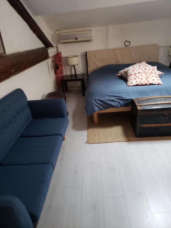 Chambre Dans Une Grande Maison Entre Canal Du Midi Et Centre Ville 贝济耶 外观 照片